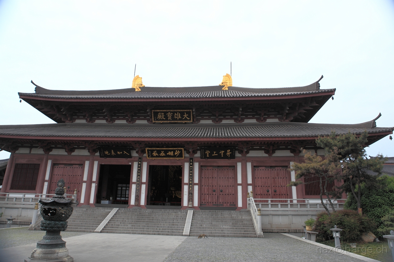 EOS 5D Mark II19_04_20135751.JPG